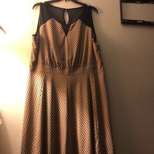 Polka dot Khaki colored dress